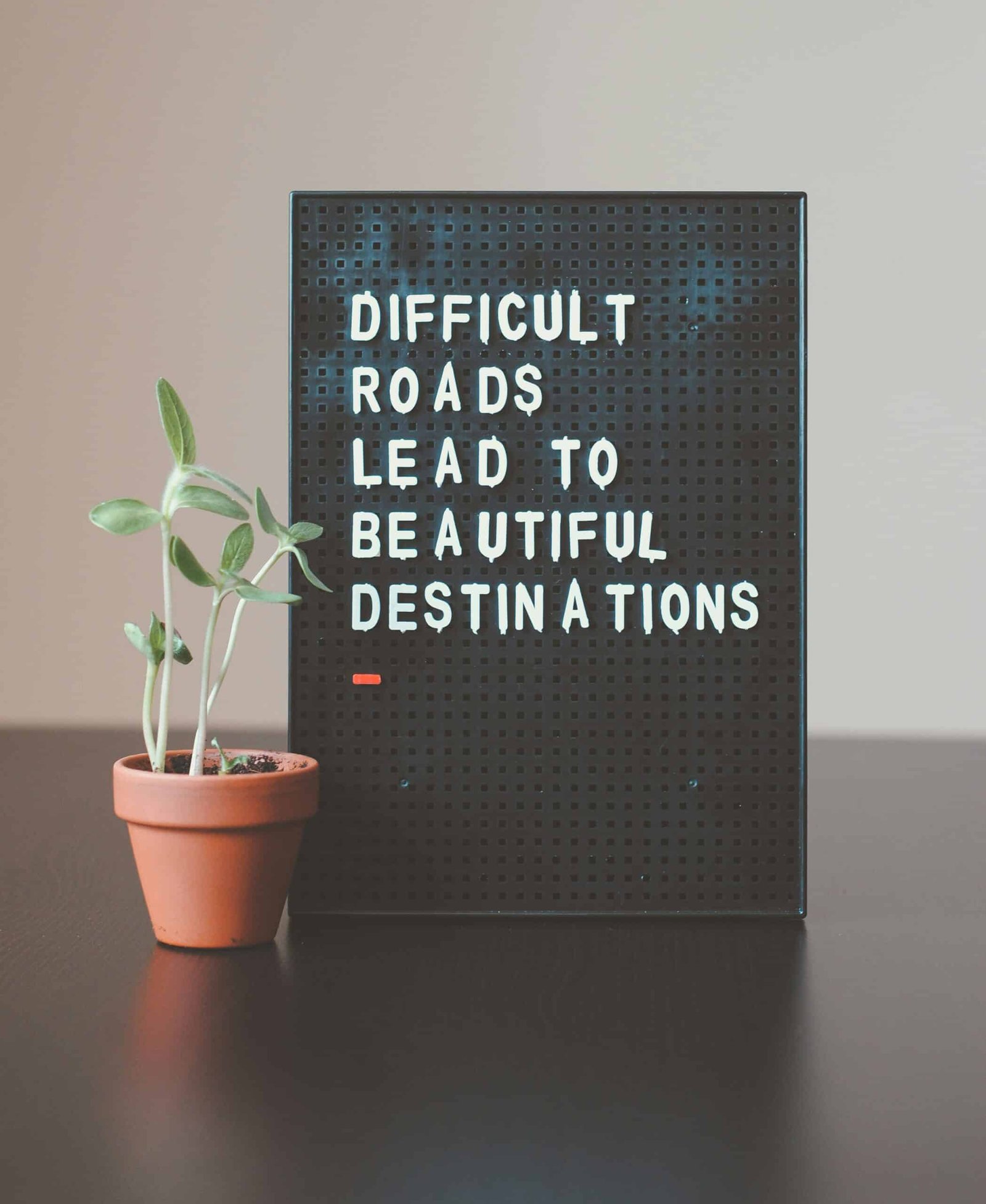 जिंदगी का संघर्ष difficult roads lead to beautiful destinations desk decor