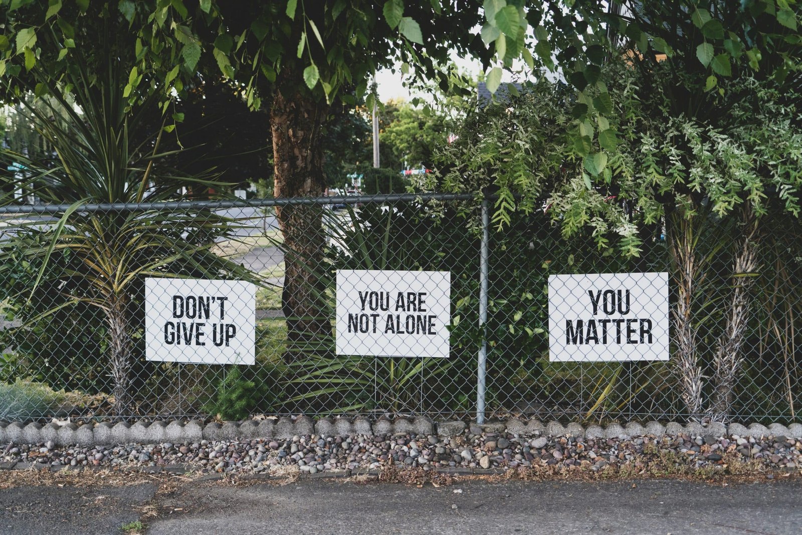 सफलता की चुनौती don't give up. You are not alone, you matter signage on metal fence